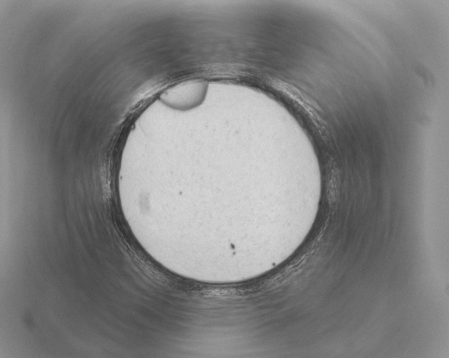 X0000115381451200912151429