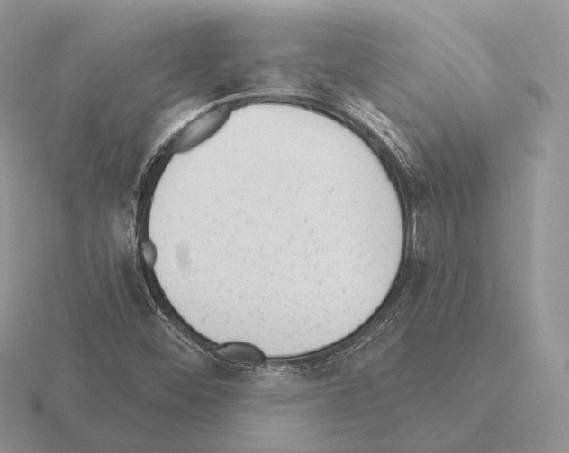 X0000115381452200912151429