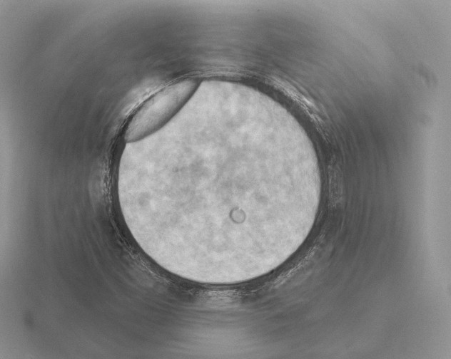 X0000115381453200912151429