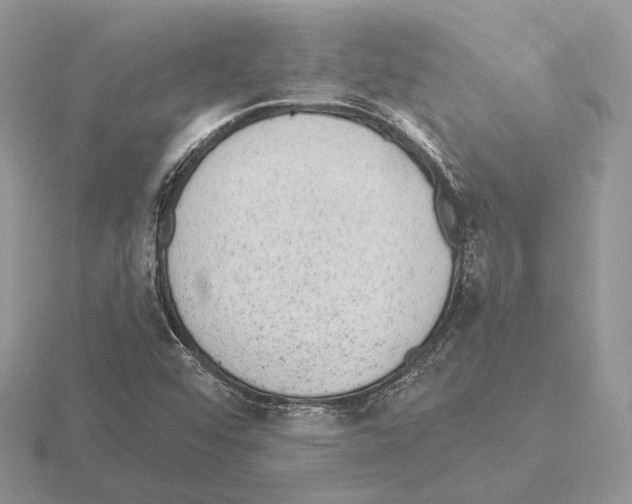 X0000115381456200912151429