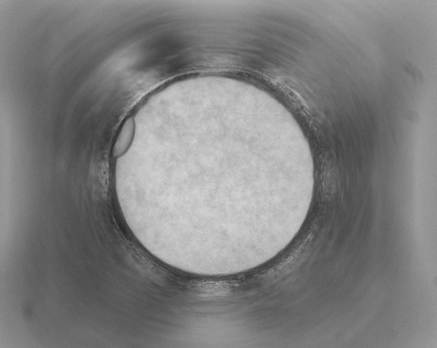 X0000115381457200912151429