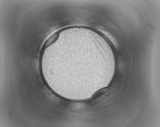 X0000115381460200912151429