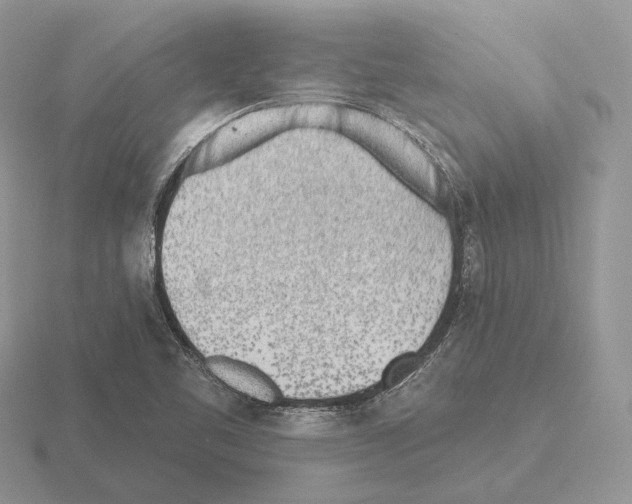 X0000115381461200912151429