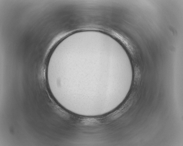 X0000115381462200912151429