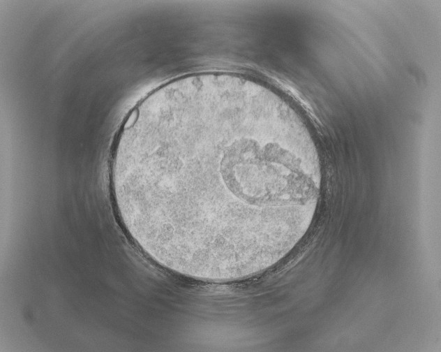 X0000115381463200912151429