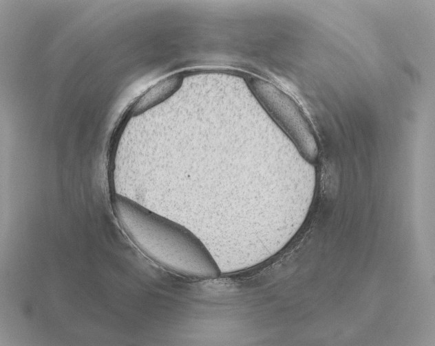 X0000115381464200912151429