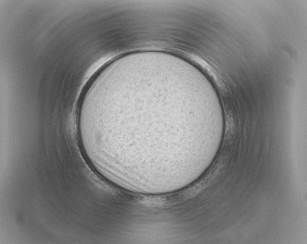 X0000115381466200912151429