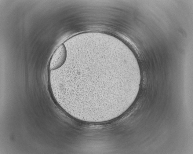 X0000115381467200912151429