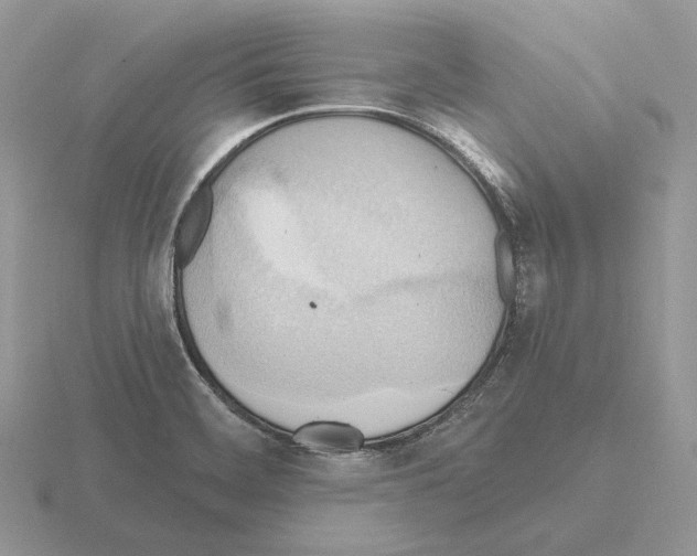 X0000115381468200912151429