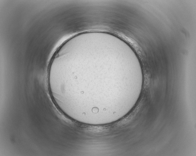 X0000115381470200912151429