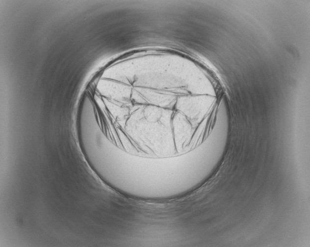 X0000115381472200912151429