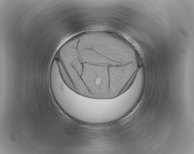 X0000115381473200912151429