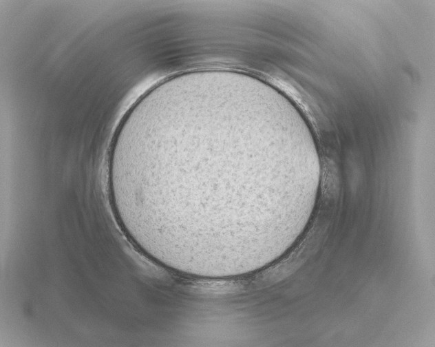 X0000115381474200912151429