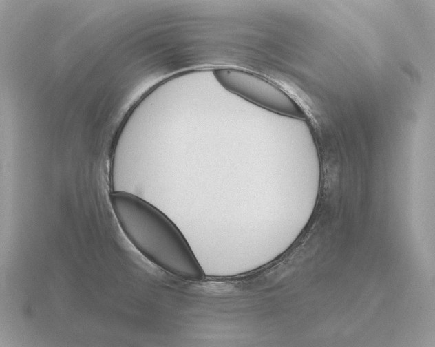 X0000115381476200912151429