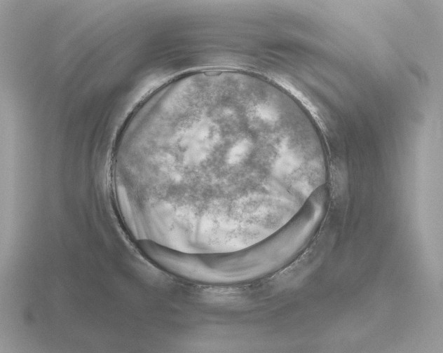 X0000115381477200912151429