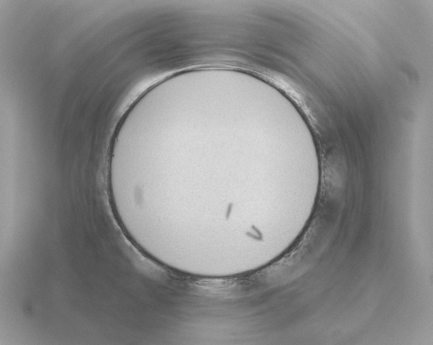 X0000115381478200912151429