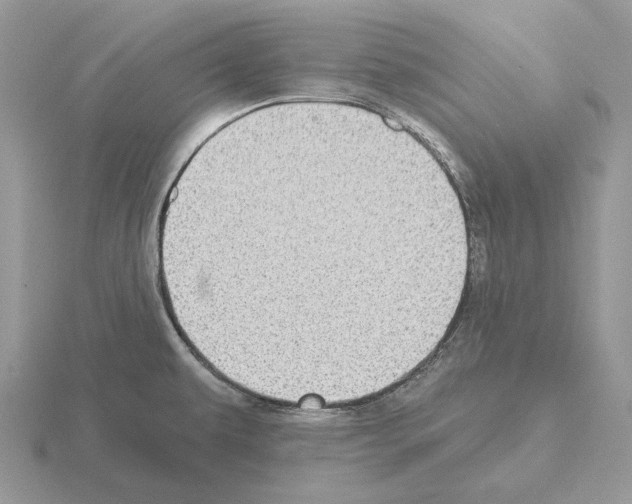 X0000115381479200912151429