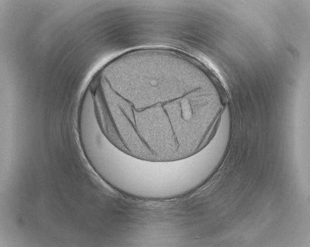 X0000115381480200912151429