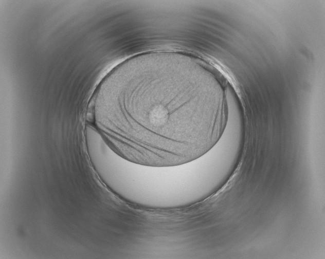 X0000115381481200912151429