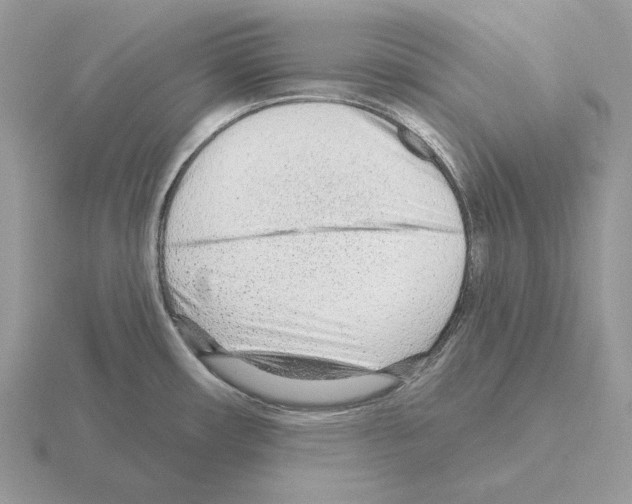 X0000115381482200912151429