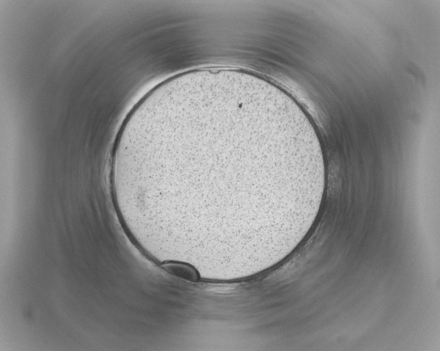 X0000115381484200912151429