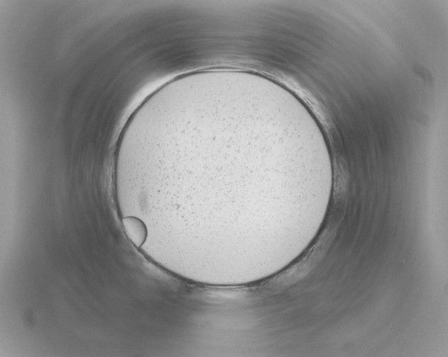 X0000115381486200912151429