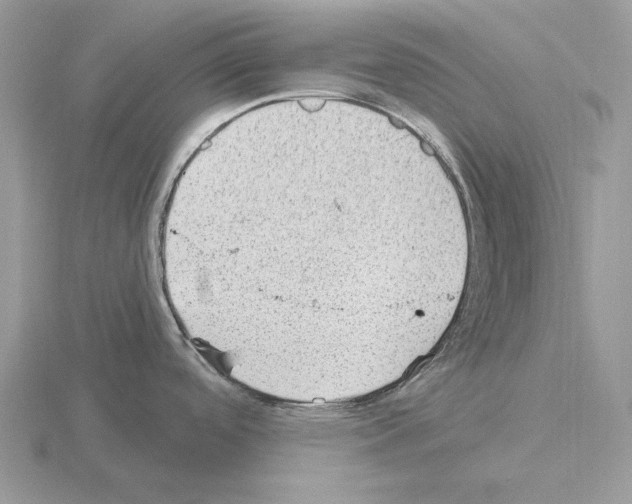 X0000115381488200912151429