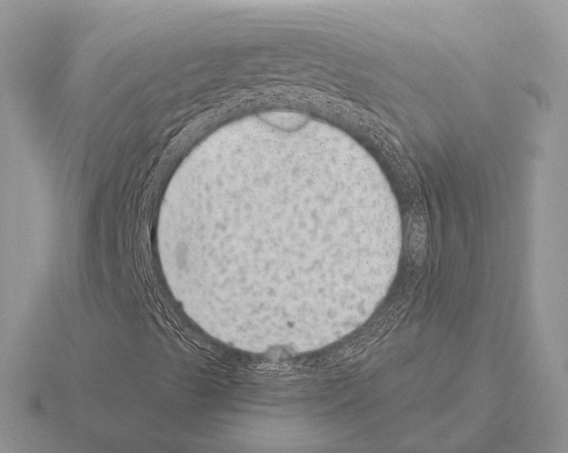 X0000115381489200912151428