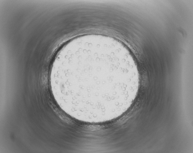 X0000115381499200912151428