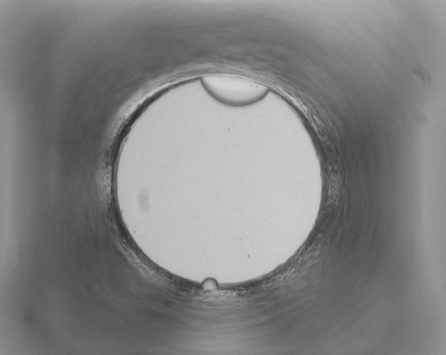 X0000115381503200912151428