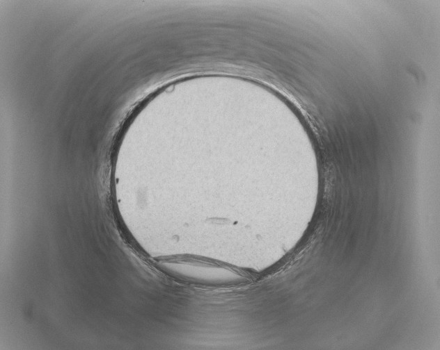 X0000115381507200912151429