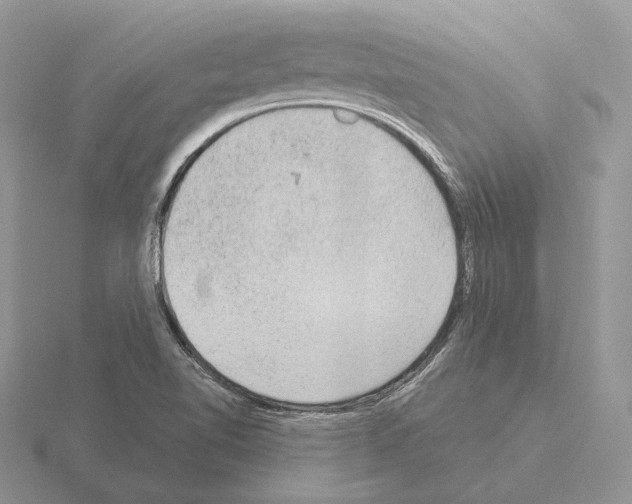 X0000115381510200912151429