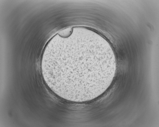 X0000115381513200912151429