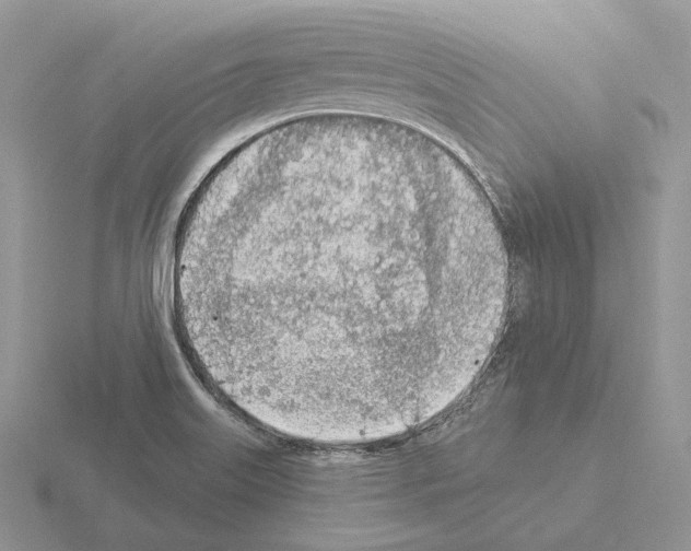 X0000115381515200912151429