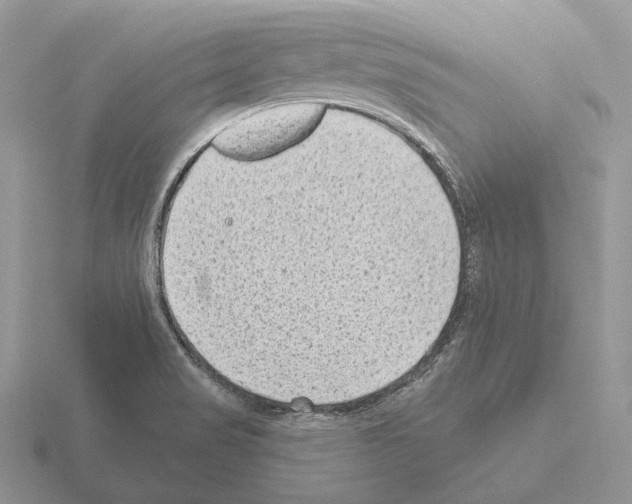 X0000115381517200912151429