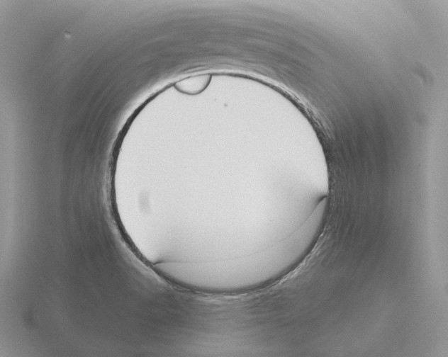 X0000115381518200912151429