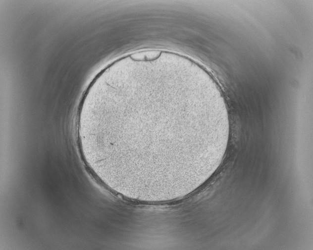 X0000115381519200912151429