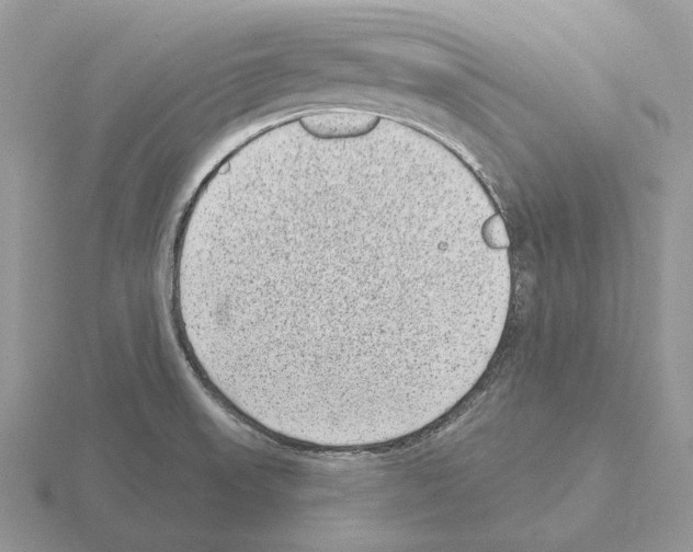 X0000115381523200912151429