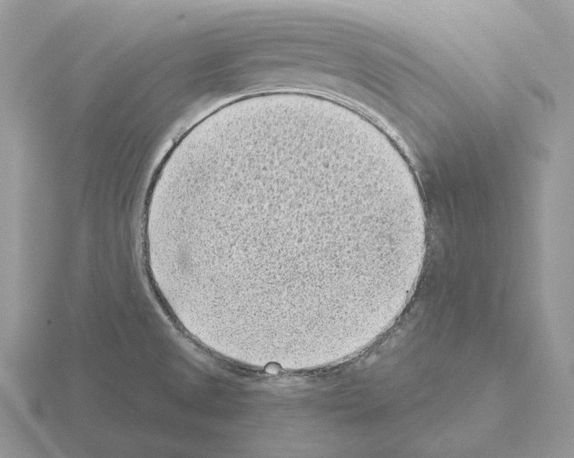 X0000115381525200912151429