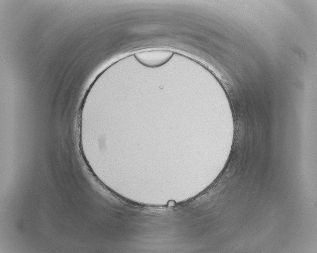 X0000115381526200912151429