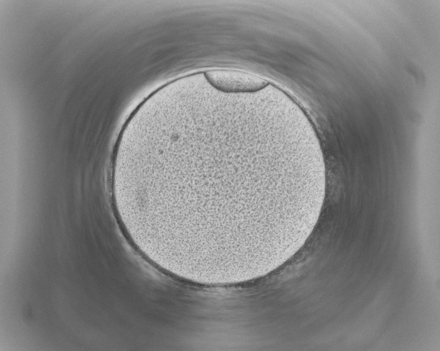 X0000115381527200912151429