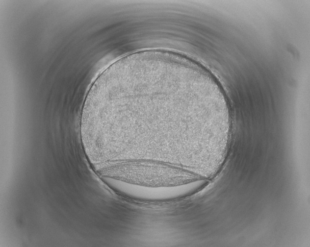 X0000115381529200912151429