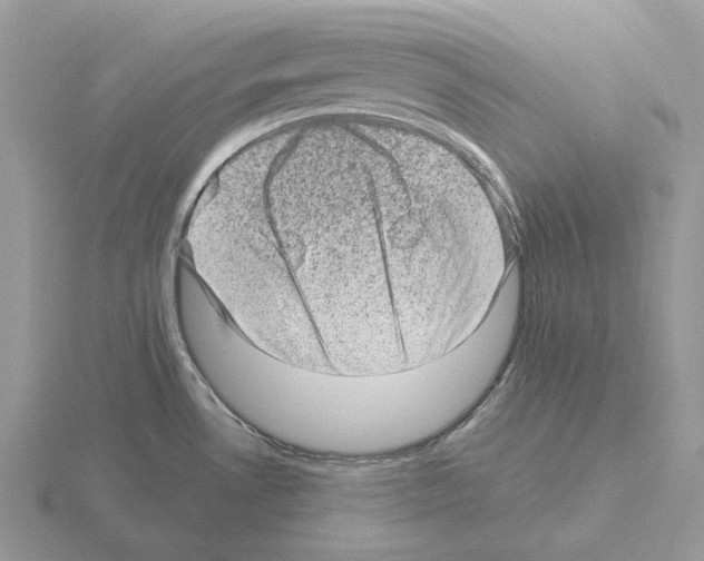 X0000115381530200912151429