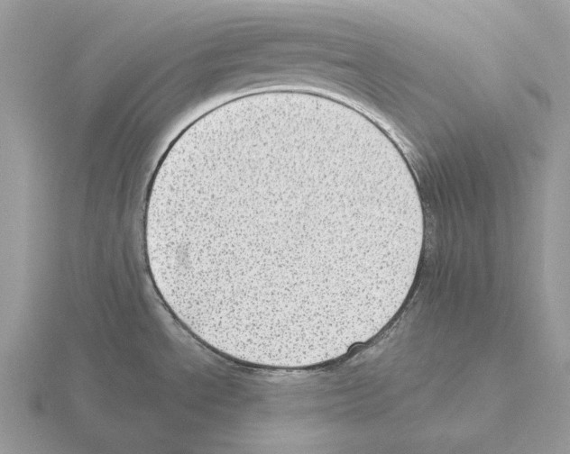 X0000115381534200912151429