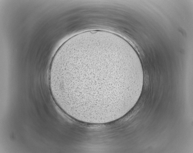 X0000115381535200912151429