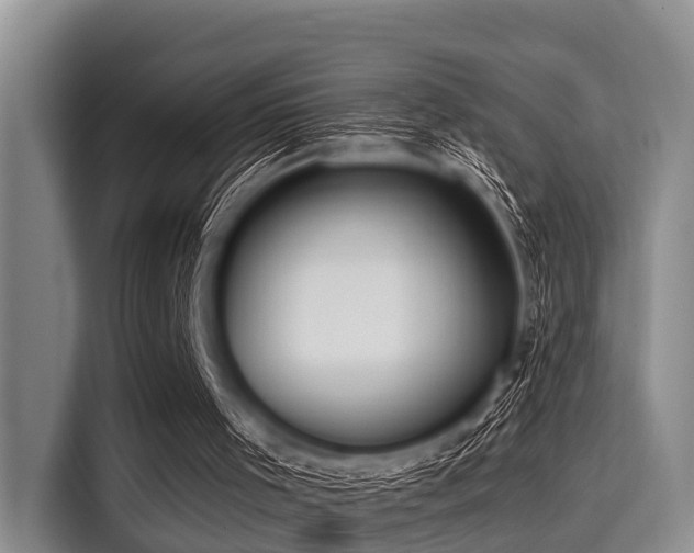 X0000115390001200911101501