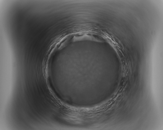 X0000115390002200911101501