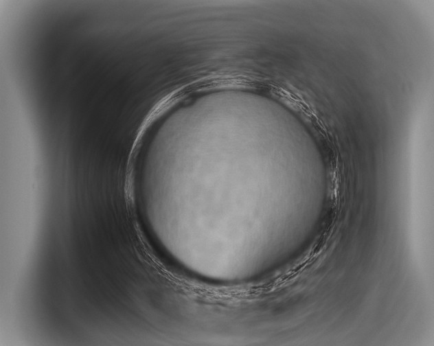 X0000115390004200911101501