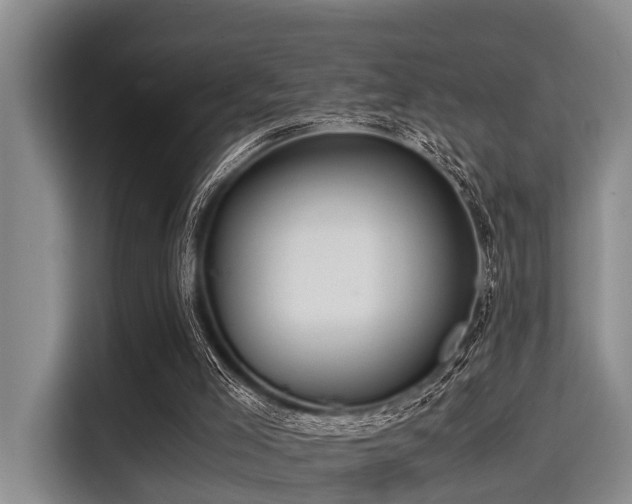 X0000115390005200911101501