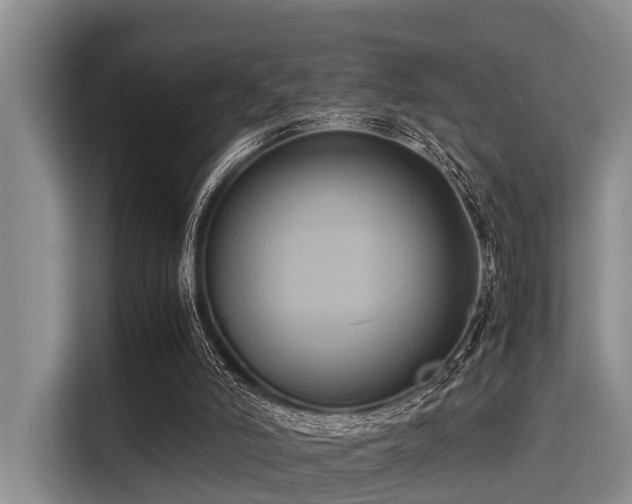 X0000115390006200911101501